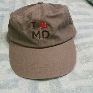 NEW Wawa MD day celebration hat.